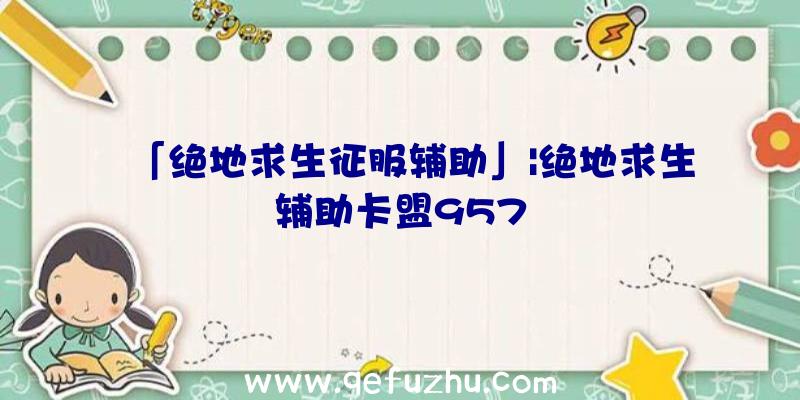 「绝地求生征服辅助」|绝地求生辅助卡盟957